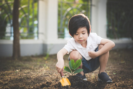 Cute Asian child planting young tree on the black soilの写真素材
