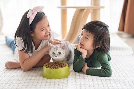 Cute Asian children feeding American shorthair cats at homeの写真素材