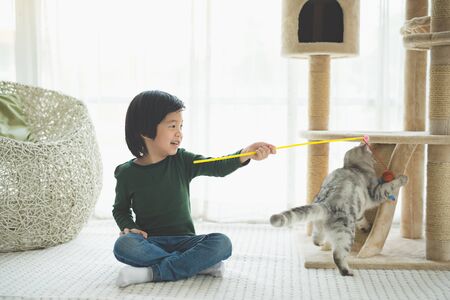 Cute Asian child playing with a cat in living room.の写真素材