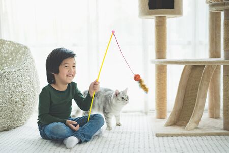 Cute Asian child playing with a cat in living room.の写真素材
