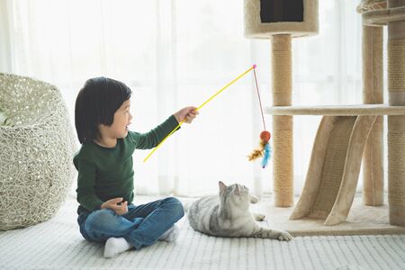 Cute Asian child playing with a cat in living room.の写真素材