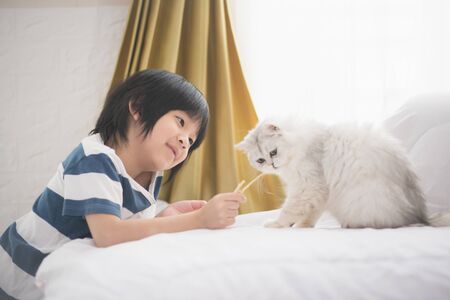 cute Asian child feeding  cats at homeの写真素材