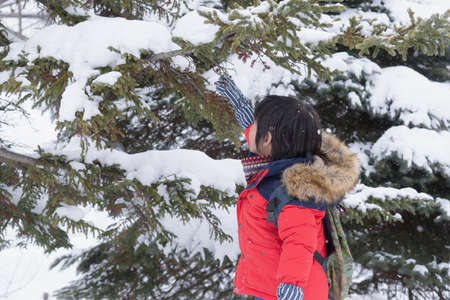 A happy Asian child touches the snow on the tree with his hands.