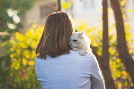Asian woman holding her cat in the light of sunsetの写真素材