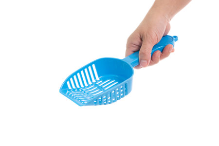 Woman's hand holding Blue cat litter scoop on white background isolatedの写真素材