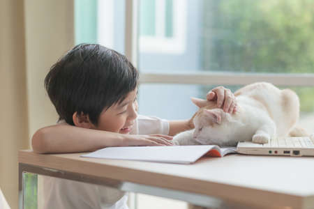 Happy Asian child playing with pet cat while doing homeworkの写真素材