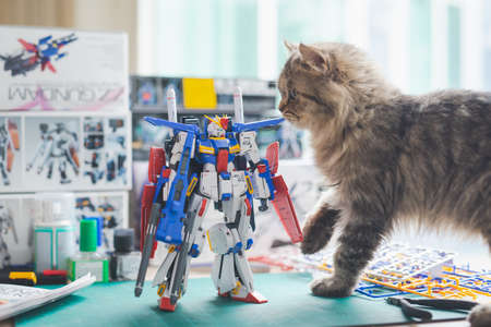 BANGKOK, THAILAND - March 22, 2021: Close up of Plastic model MSZ-010 ZZ GUNDAM VER KA  (MG)  scale 1:100 with persian cat on wooden tableのeditorial素材