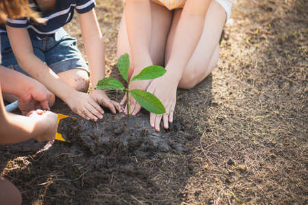 Cute Asian children and mother planting young tree on the black soil,Earth day conceptの写真素材