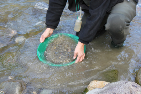 Gold Nugget mining from the River, with a gold pan, cleaning of black sand, and find some small gold...