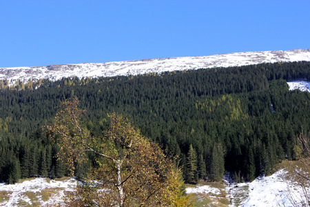 Winter snowy Alps with Sunn and trees in Raurisの写真素材
