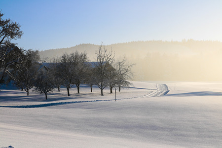 Austria, landscape in winter, snow, blue,skyの写真素材