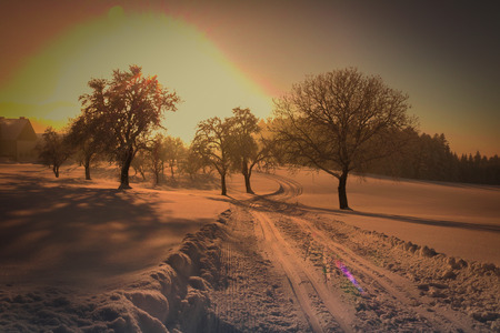 Winter landscape - frosty winter tree in the forest with sunrise light breaking through snowy treeの写真素材