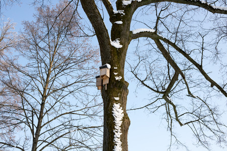 Birdhouse on a tree in winterの写真素材