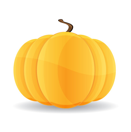vector pumpkinのイラスト素材