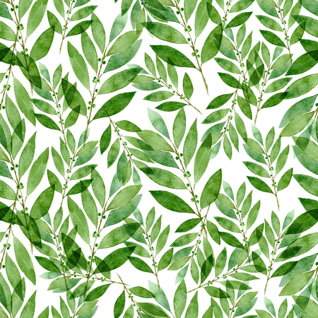 Seamless watercolor pattern of bay on white backgroundの写真素材