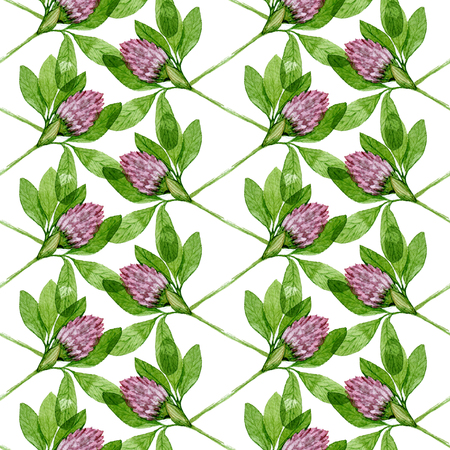 Seamless pattern of red clover. Flower watercolor pattern for backgroundの写真素材
