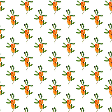 Seamless pattern od branch of sea-buckthorn on white backgroundの写真素材