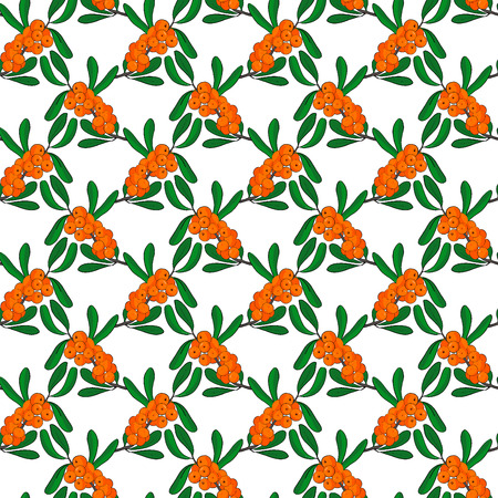 Seamless pattern od branch of sea-buckthorn on white. Vectorのイラスト素材