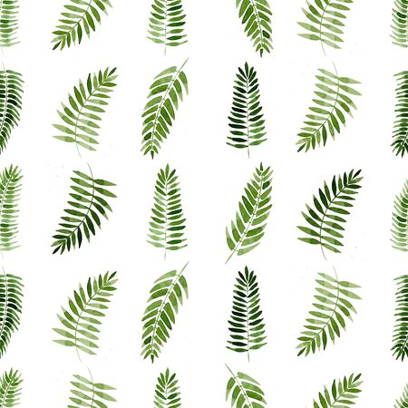 seamless pattern of watercolor fern on whiteの写真素材