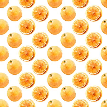Seamless watercolor pattern of oranges on whiteの写真素材