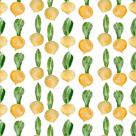 Seamless pattern of Yellow turnip on white backgroundの写真素材