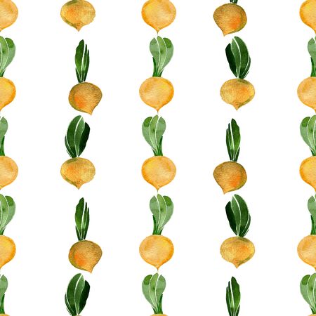 Seamless pattern of Yellow turnip on white backgroundの写真素材