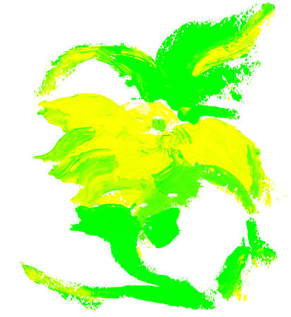 Abstract green flower isolated on white backgroundの写真素材