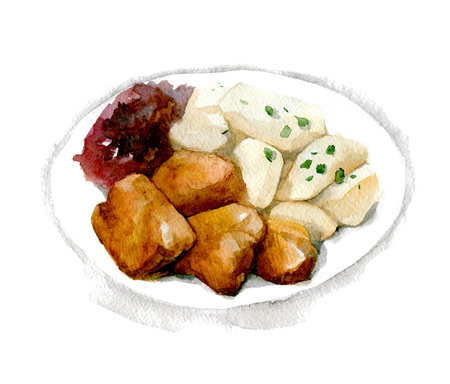 Beef Stroganoff. Goulash. Meat with gravy, boiled potatoes and beet salad. Hand drawn watercolor illustration isolated on white backgroundの写真素材