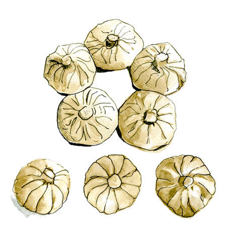 Delicious khinkali. Tradition Georgian food. Hand drawn illustation isolated on white background. Vectorの写真素材