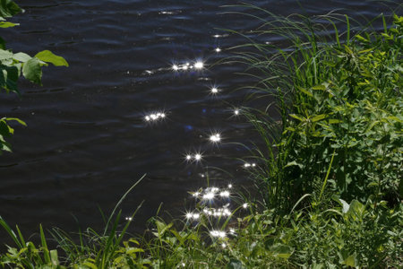 stars on the riverの写真素材