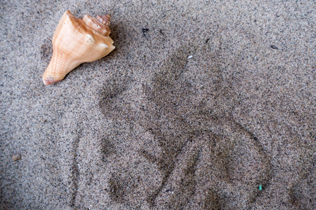 nell'angoletto a shell up
