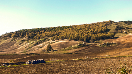 panorama of the Sicilian hinterlandの写真素材