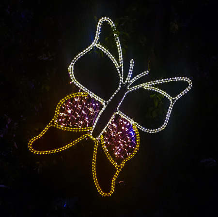 flies flies light Farfala to the delight of childrenの写真素材