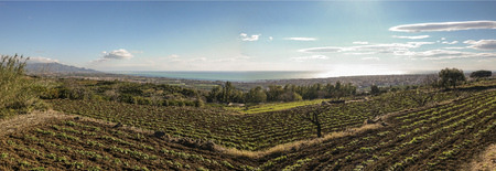 cultivationの写真素材