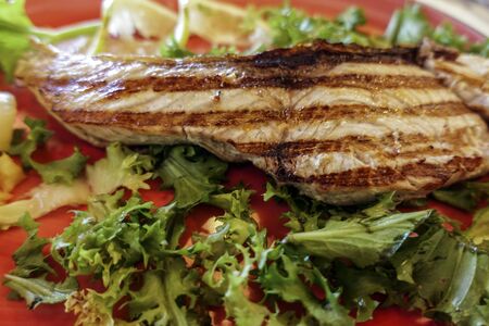 grilled amberjack slice - 849の写真素材