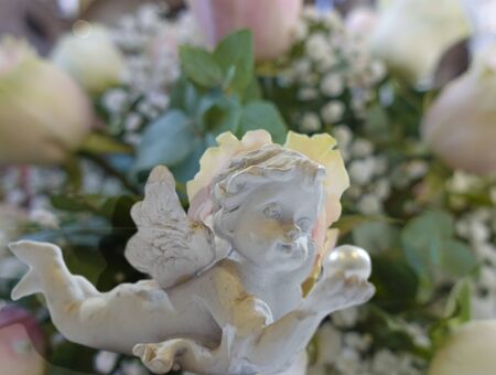 the precious pearlの写真素材