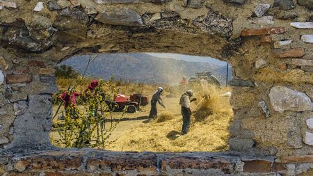 June, threshing time