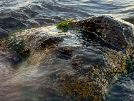 The rock and the sea