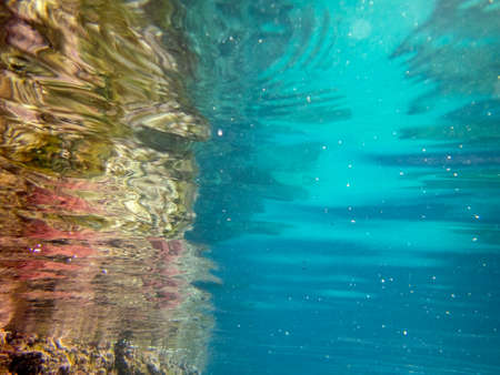 aquatic reflections - 116の写真素材