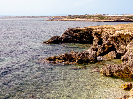 Tip of the antsの写真素材
