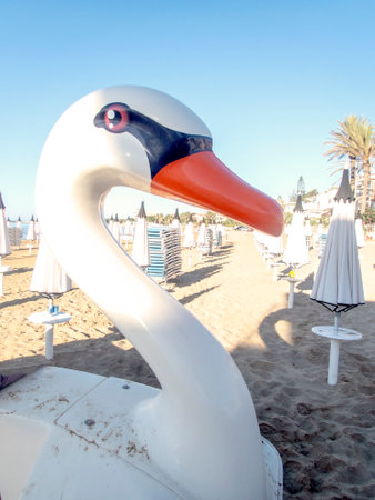 the swan among the umbrellas waiting for the swimmersの写真素材