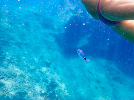 Underwater view of a woman snorkeling in coral reefの写真素材