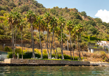 Palm trees on the island of the Sirens in Taorminaの写真素材