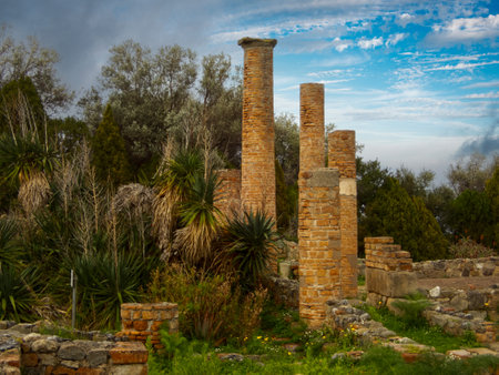 archaeological area of tindariの写真素材