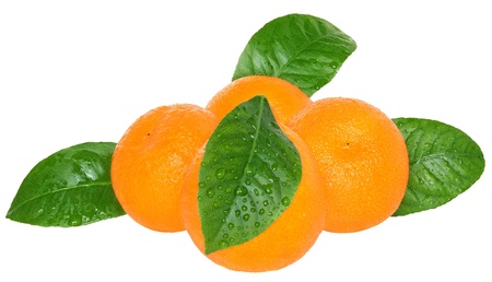 Ripe tangerines on a white backgroundの写真素材