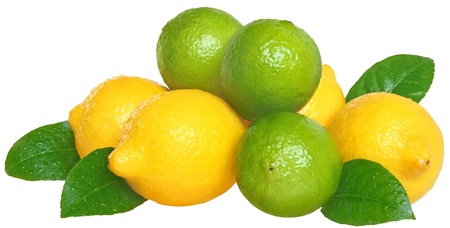 Fresh limes and lemons on a white background.の写真素材