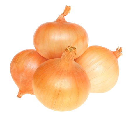 Onion on a white background.の写真素材