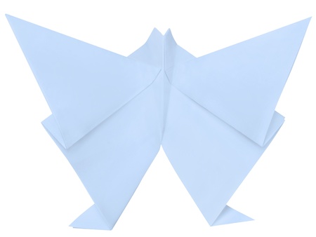 Butterfly made of paper on a white background.の写真素材