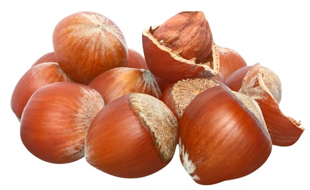 Hazelnuts on a white background.の写真素材