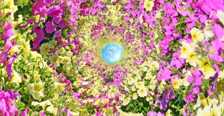 Fantastic floral passage leading to heaven.の写真素材